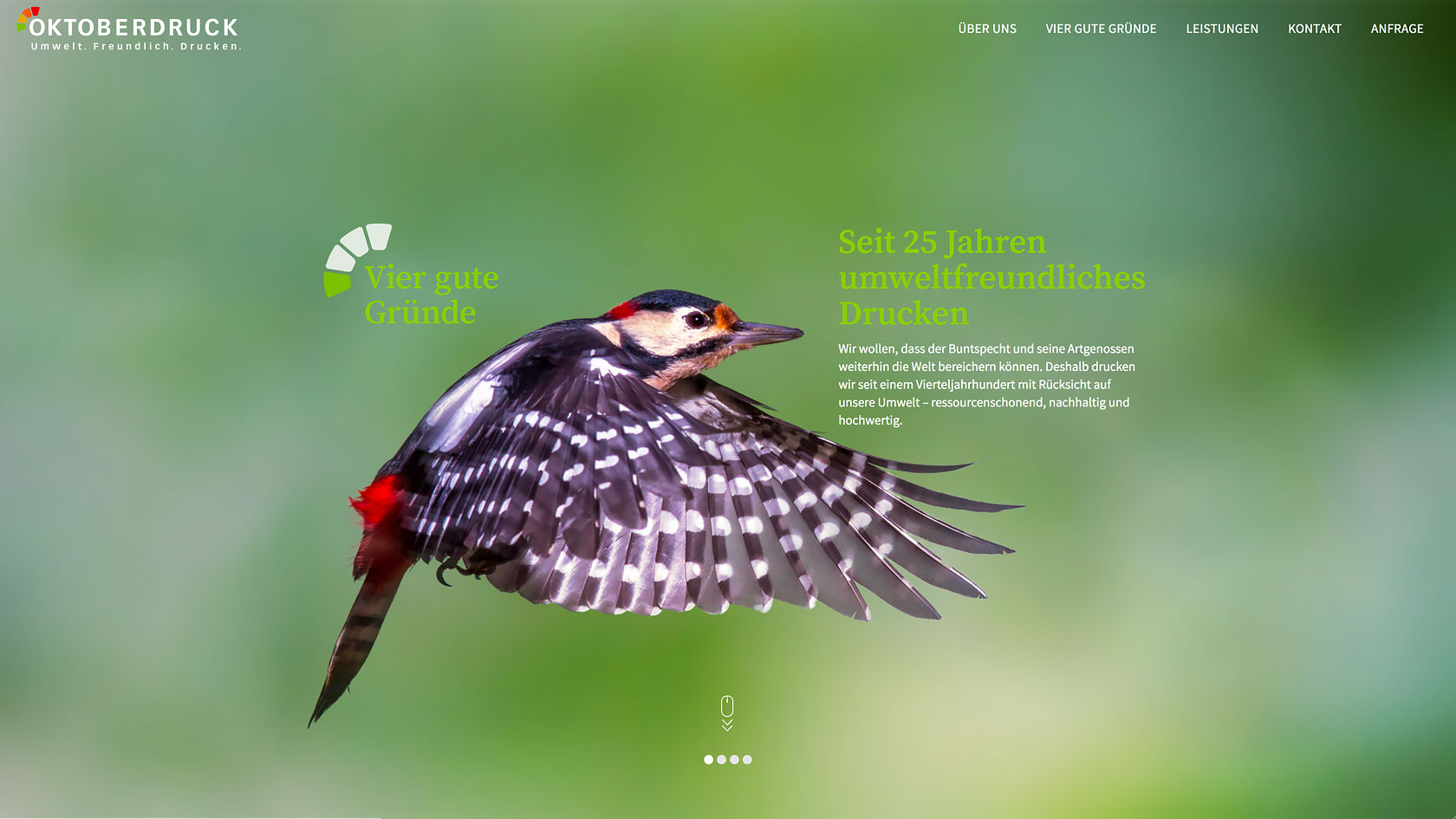 Neuer Internetauftritt für Oktoberdruck